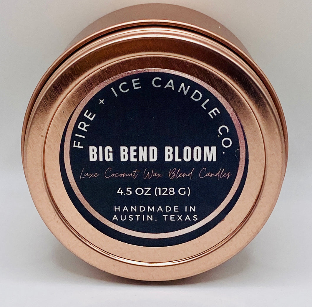Big Bend Bloom